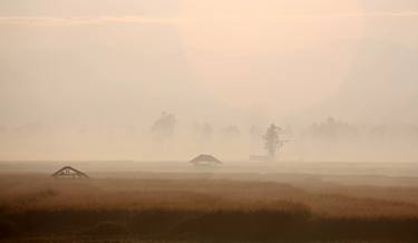 Morning mist over the padi - Limited Edition 1 of 20 thumb