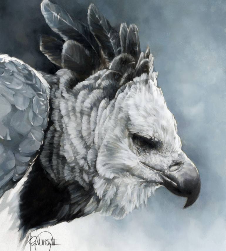 Harpy Eagle - Harpy Eagle - Posters and Art Prints