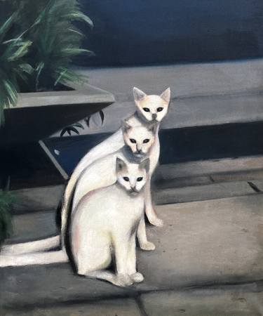 Original Realism Cats Paintings by Kevin Gray