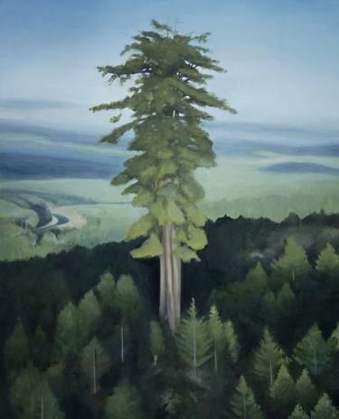 Original Realism Tree Paintings by Kevin Gray