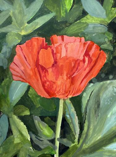 Original Floral Paintings by Kevin Gray