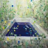 Collection Emotional Landscapes