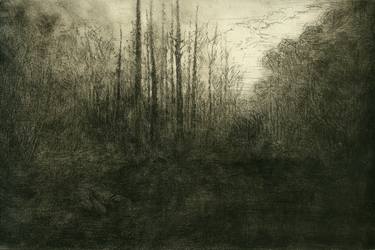 Original Impressionism Landscape Printmaking by Kate Steenhauer