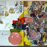 Collection conceptual