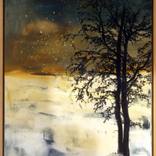 Ash Trees In Snow by Lily Greenwood