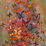 Collection Butterflies