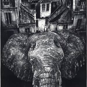 Collection Inspired by M.C. Escher