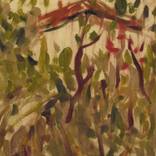House with yard by Eshref Muka