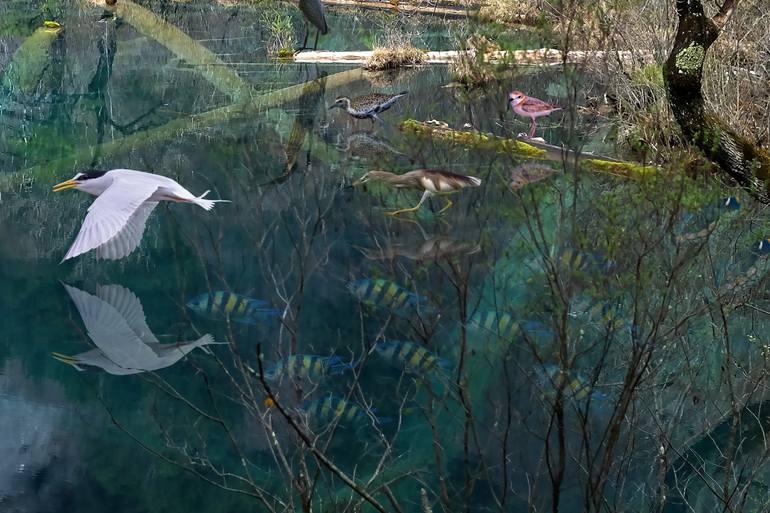 Original Fine Art Fantasy Photography by Meng Foo Choo