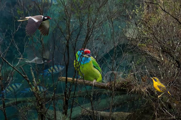 Original Fine Art Fantasy Photography by Meng Foo Choo