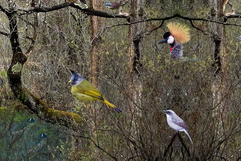 Original Fine Art Fantasy Photography by Meng Foo Choo