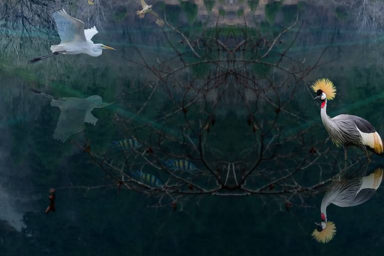 Original Fine Art Fantasy Photography by Meng Foo Choo