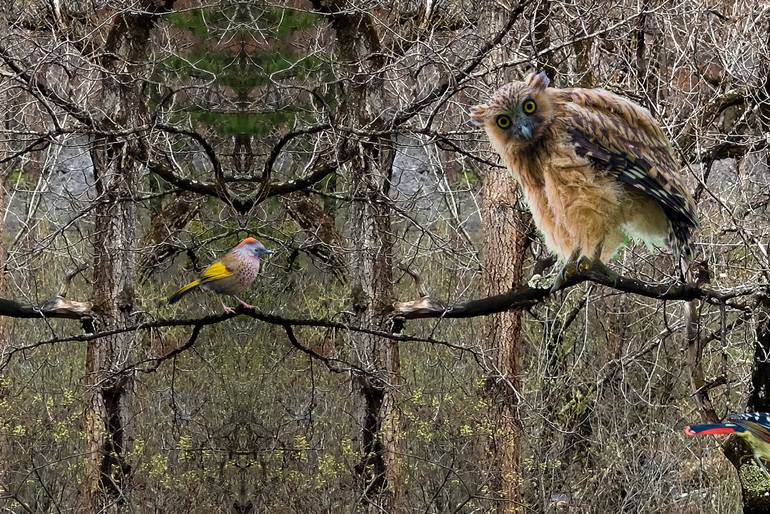 Original Fine Art Fantasy Photography by Meng Foo Choo