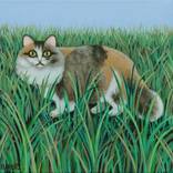 Daisy in The Meadow. by Antoinette Kelly