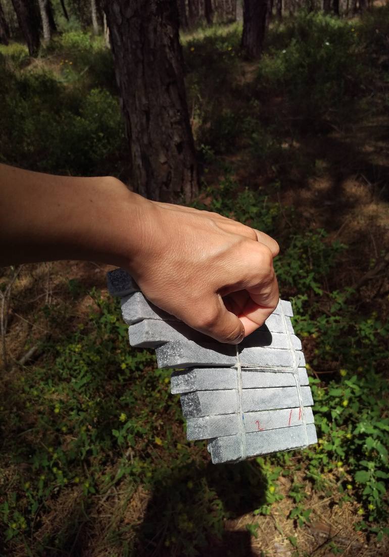 Original Nature Sculpture by patrícia mesquita