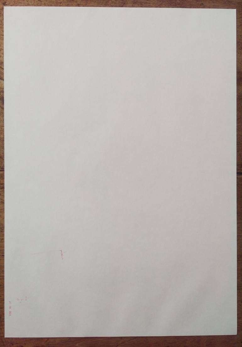 Original Realism Nature Drawing by Patrícia Mesquita