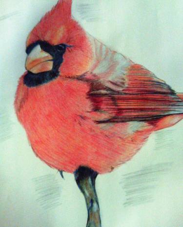 Red Bird Drawings For Sale Saatchi Art