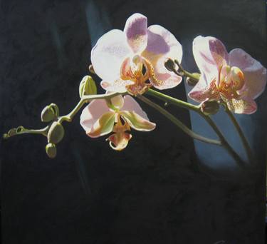 Original Floral Paintings by David Parson