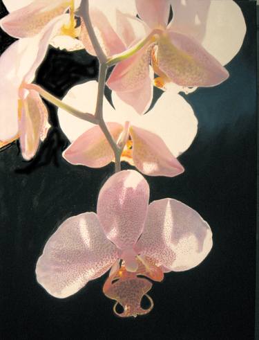 Print of Realism Floral Paintings by David Parson