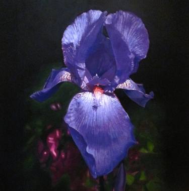 Original Botanic Painting by David Parson