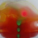 Pure Nondualism Revolution .1 by Guido Pierandrei