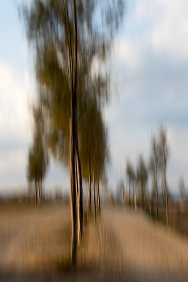 Original Abstract Nature Photography by Stelios Kleanthous