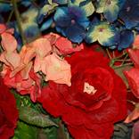 Collection Floral