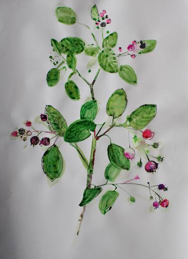Original Documentary Botanic Paintings by Anna Laicane