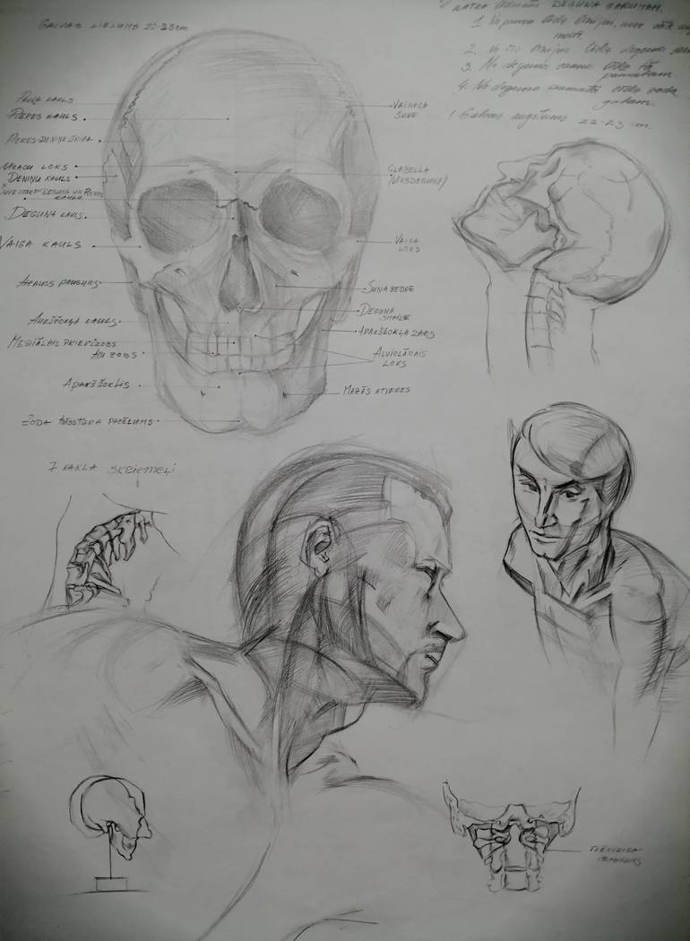 Original Figurative Body Drawing by Anna Laicane