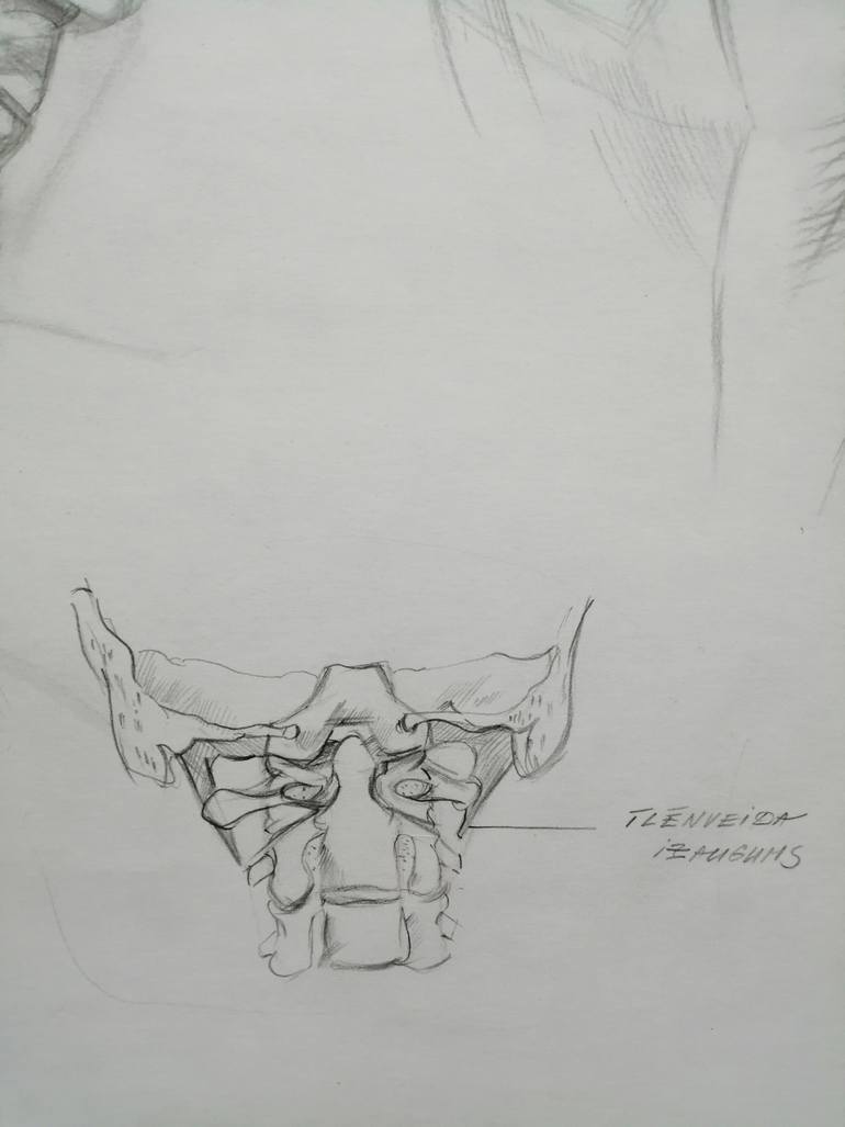Original Figurative Body Drawing by Anna Laicane