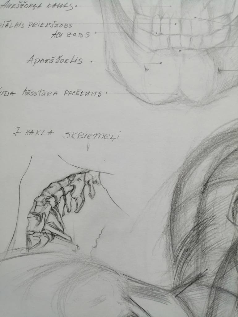 Original Figurative Body Drawing by Anna Laicane