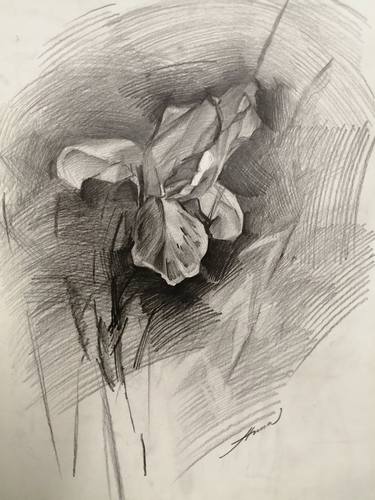 Print of Realism Floral Drawings by Anna Laicane