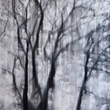 Lines of Flight op.425-2 by Akihito Takuma