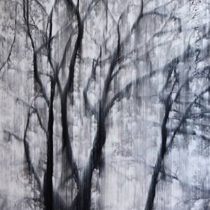 Collection Showdown Top 30