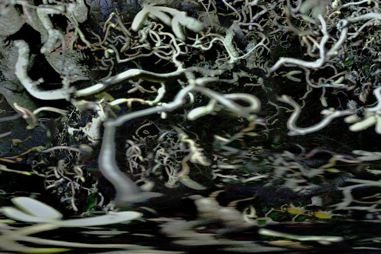Original Abstract Landscape Photography by Jason Horowitz