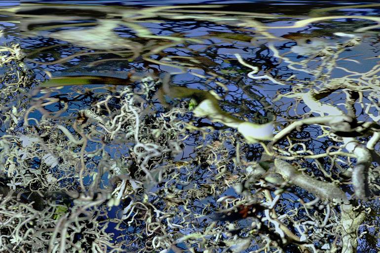 Original Abstract Landscape Photography by Jason Horowitz
