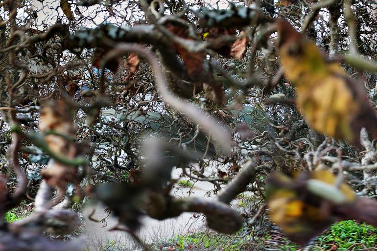 Original Abstract Landscape Photography by Jason Horowitz