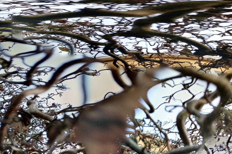 Original Abstract Landscape Photography by Jason Horowitz