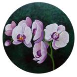 Phalaenopsis Orchids - Original Oil Painting on Round Canvas by Adriana Vasile