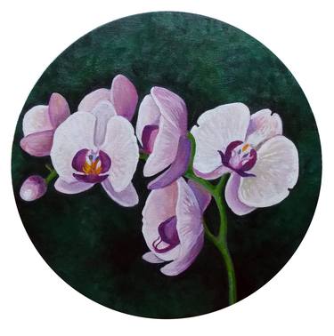 Phalaenopsis Orchids - Original Oil Painting on Round Canvas thumb