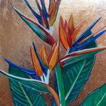 Strelitzia - Bird of Paradise Flower by Adriana Vasile