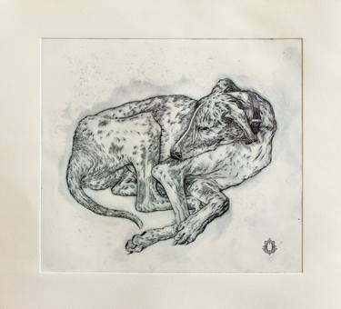 Original Realism Animal Printmaking by ORIOL ANGRILL JORDA