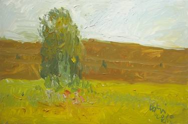 Original Landscape Paintings by Dumitru Bostan Junior