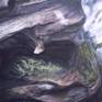 view additional image 1