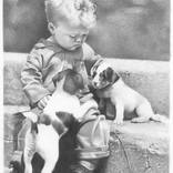Little boy with puppies by David J Vanderpool