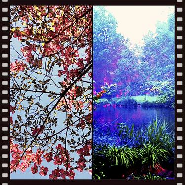 Landscape Diptych Collage thumb