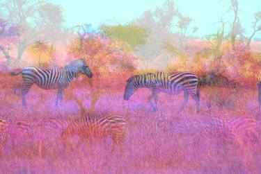 Grazing under the East African Sun - Limited Edition of 3 thumb