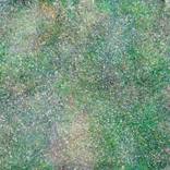 'green infinity' by Ien Lucas