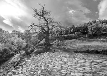 Ferreriola threshing circle, Las Alpujarras, Spain thumb