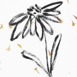 Flowers Lines 18 by SANTHOSH C H